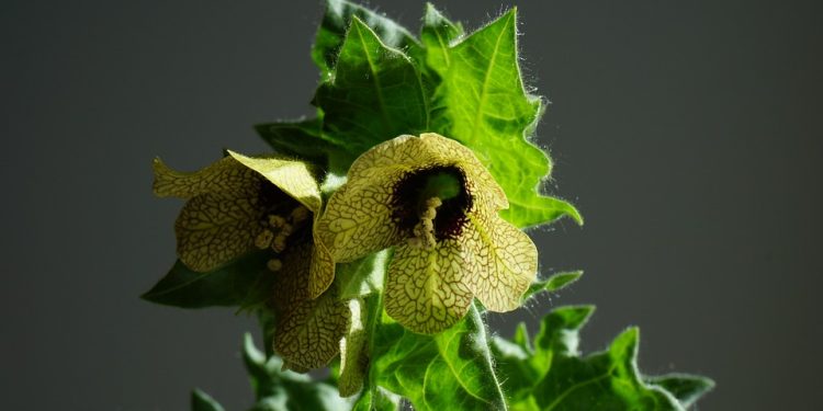 Breaking the Stigma: Empowering Minds through Mental Health Awareness