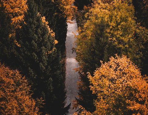 Teaching Kids the Power of Presence: Mindfulness Activities for Young Minds