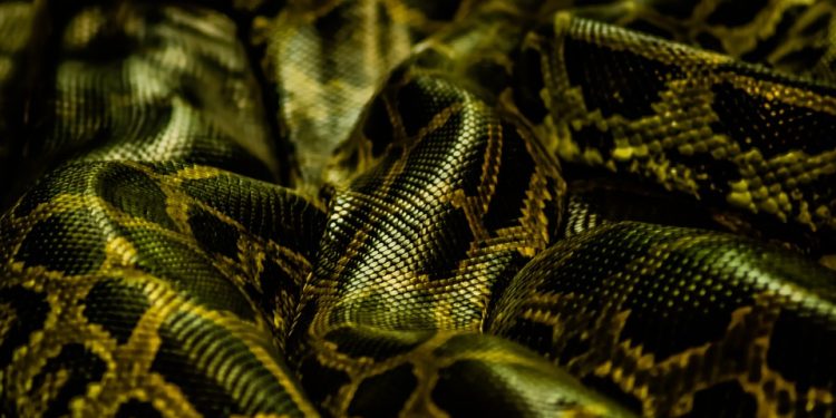 Unlocking Inner Peace: The Power of Relaxation Exercises